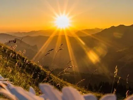 Short Positive Morning Affirmation - Joy, Health And Trust