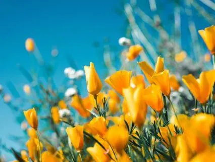 Short Prayer: Coming Back To God