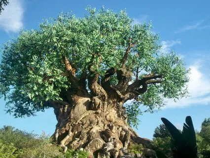 Short Prayer To The Universe – Trust & Co-Creation