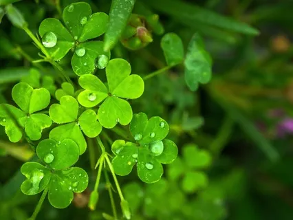 Short Pre-Exam Meditation