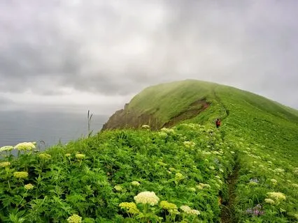 Short Progressive Relaxation