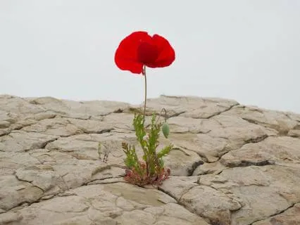 Short Relaxation For Resilience & Strength