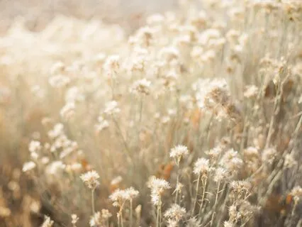 Short Reset For Moms