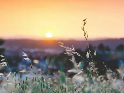 Short Seated Yoga Nidra With Music