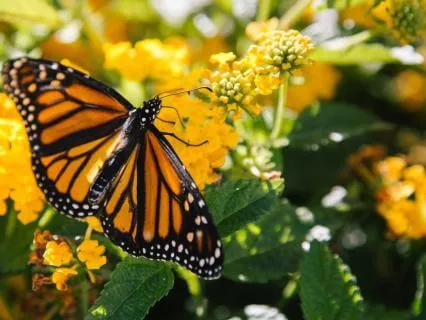 Short Self-Compassion Break