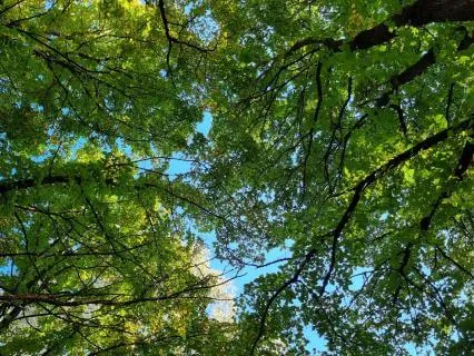 Short Self-compassion Practice To Use In A Difficult Moment