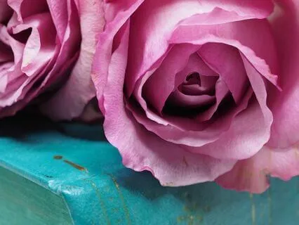 Short Self-Love Session