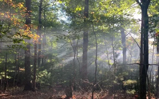 Short Serenity Meditation