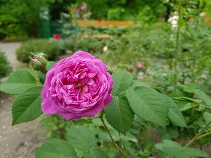 Short Singing Bowl Meditation