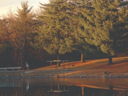 Short Sitting And Loving Kindness