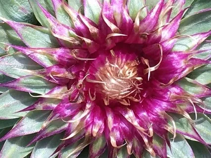 Short Sitting Meditation 