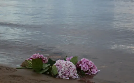 Short Sitting Practice