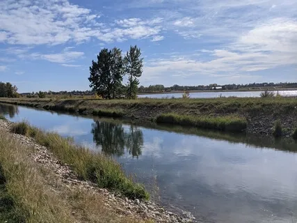 Short Somatic Tracking - Getting Curious