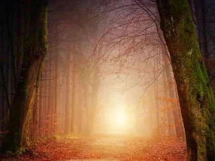 Short Story For The Inner Child: Return From The Other World