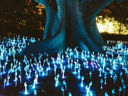 Short Story : The Underworld