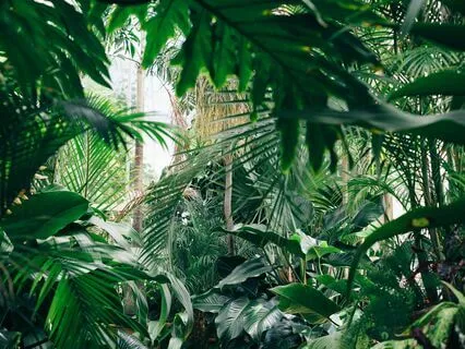 Short Story : The Word Made Flesh