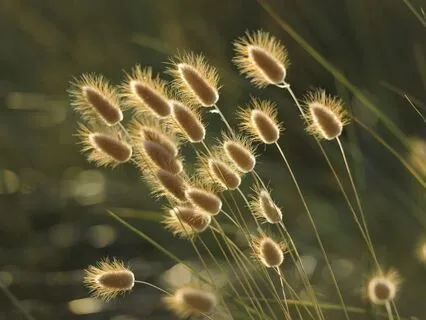 Short Stress Buster Practice