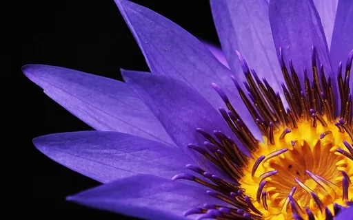 Short Stress Relief Meditation