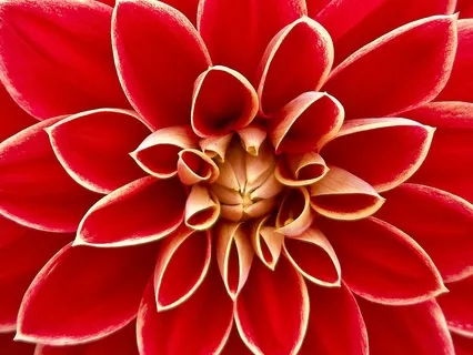 Short Sweet Root Chakra Balancing