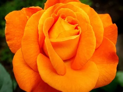 Short Sweet Sacral Chakra Balancing