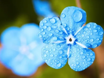 Short Sweet Throat Chakra Meditation