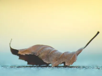 Short Tense And Release Relaxation