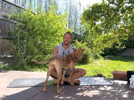 Short Yoga Flow