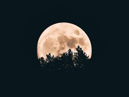 Short Yoga Nidra For Sleep