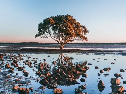 Short Yoga Nidra: Meditative Exercise