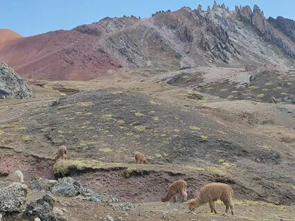 Short Yoga Nidra Practice