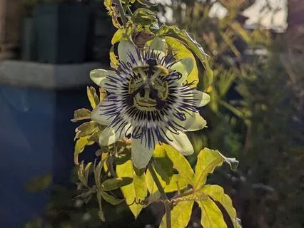 Short Yoga Nidra To Recharge Your Energy