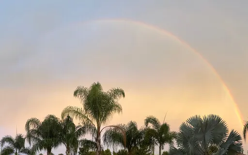 Short Yoga Nidra To Rest, Reset & Remember