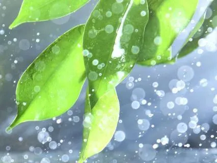 Short Zen Sleep Practice With Chimes & Rain : 8 Hours