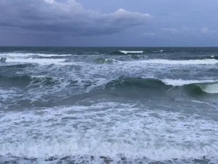 Shoulda Coulda Woulda NOT - Why Struggle? (Book Excerpt)