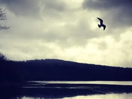 Show Me (Prayer Song)