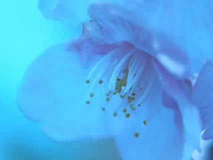 Show Me What I Am Ready To Know: Psychic Spirit Connection