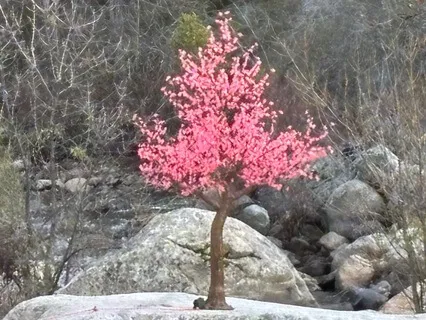 Show Up, All The Way