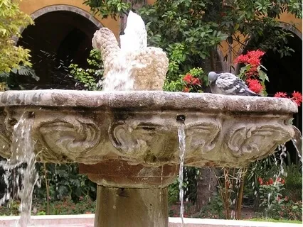 Shower Of Hope: A Reading