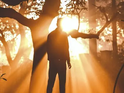 Shower Of Light Body Scan