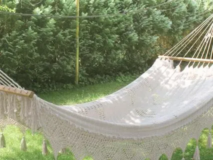 Showing Up: A Gentle Body Scan