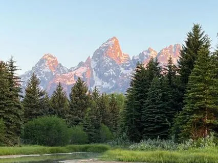 Showing Up For The Day: A Gentle Morning Body Scan