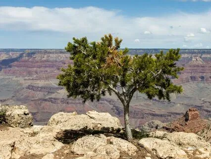 Showing Up: How To Have Your Own Back