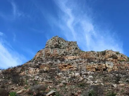 Showing Up In The World By Doing Your Beautiful Youing