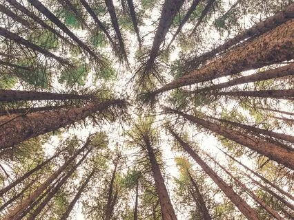 Showing Up: Practice Morsels