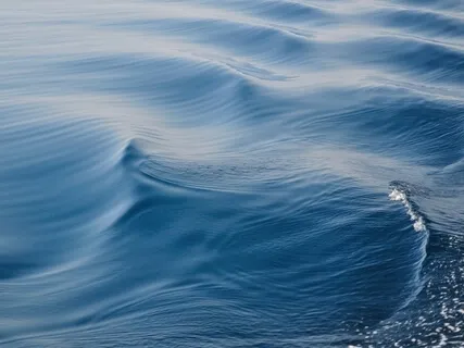 Shozan Jack Haubner: When Your Sangha’s Sex Scandal Goes Viral