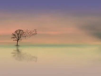 Shutting Down & The Avoidant Attachment Style