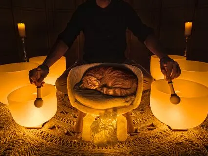 Sick? Fall Asleep Fast Sound Bath