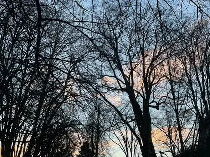 Sieze Opportunity: Responding With Prayer