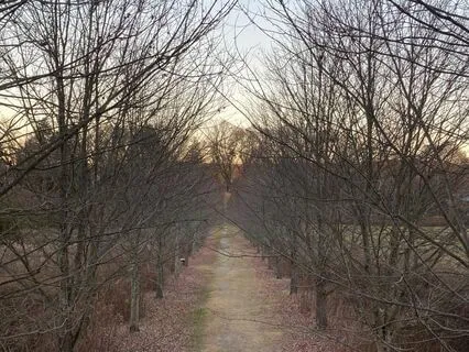 Sighing Through Emotional Pain