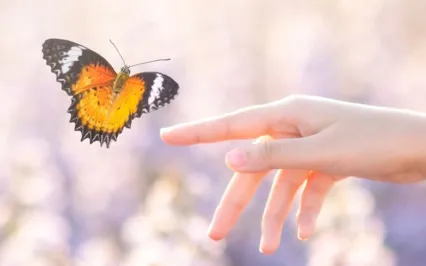 Signs You're In A Rebirth Phase 